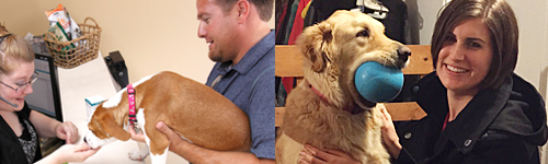 BCPH_Dogs_Brad&Megan