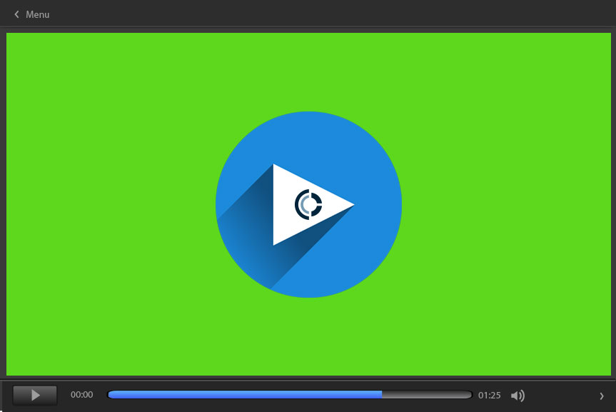 Erica_video_2016Blog